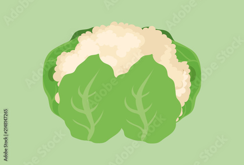 Cauliflower Concept IllustrationVector Style