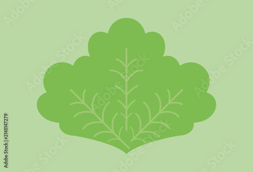 Kale Concept IllustrationVector Style