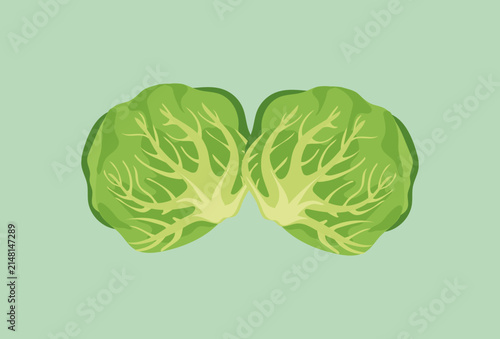 Brussels Sprout Concept IllustrationVector Style