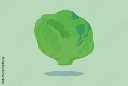 Cabbage Concept IllustrationVector Style