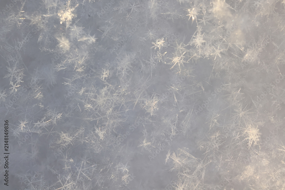 Obraz premium Winter white snow background, abstract blurred snowfall surface