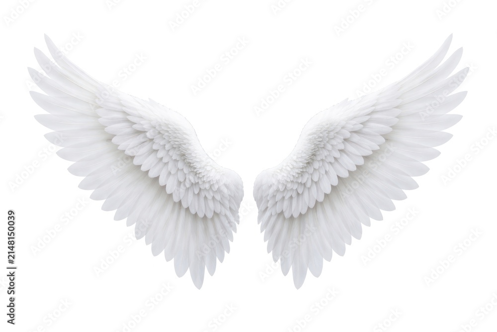 Obraz premium Elegant white angel wings illustration.