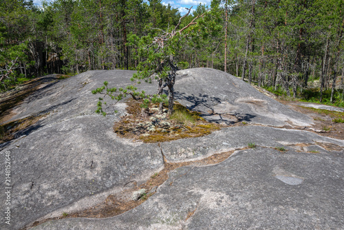 Принти на полотні Volcanic rock in the forest landscape, Koyonsaari Island