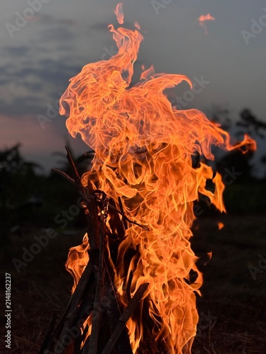 Vertical landscape of burning wood in a rural field. Agricultural land clearing bonfire during evening twilight with silhouette trees.