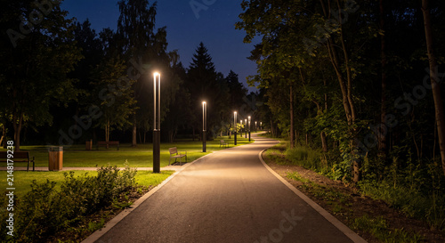 An empty paved walkway through a green park is illuminated by modern glowing streetlamps during the tranquil night.