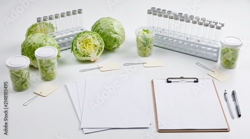 Iceberg Lettuce Evidence Display with Sample Tags and Test Tubes for Foodborne Outbreak Investigation