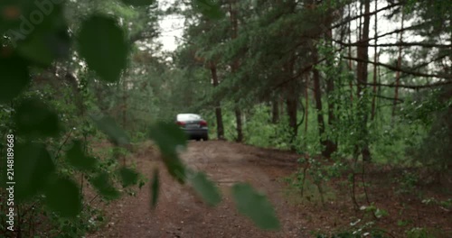 Man walking along dirt path in green pine forest with car on background