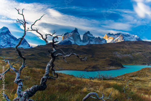 Mountain landscape environment, Torres del Paine National Park, Patagonia, Chile.