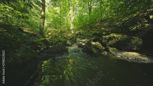 A peaceful woodland creek winding through a lush green forest with moss-covered rocks, crystal-clear water and warm sunlight creating a serene natural landscape and tranquil atmosphere.