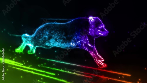 Vibrant rainbow wolf animation featuring colorful spectrum tones and striking psychedelic wildlife visuals