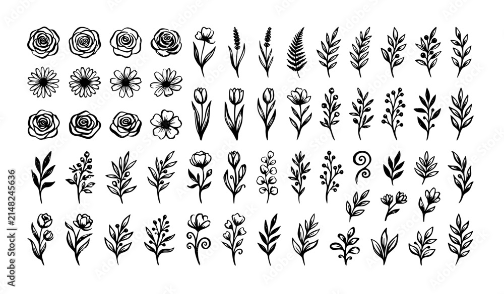 Obraz premium Botanical Brush Ink Floral Doodle Vector Collection