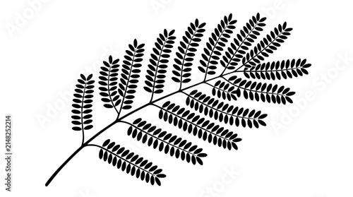 Black and white illustration of a fern leaf with delicate pinnate fronds on a white background