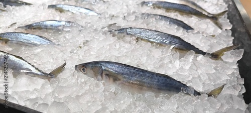 Fish in the seafood market.