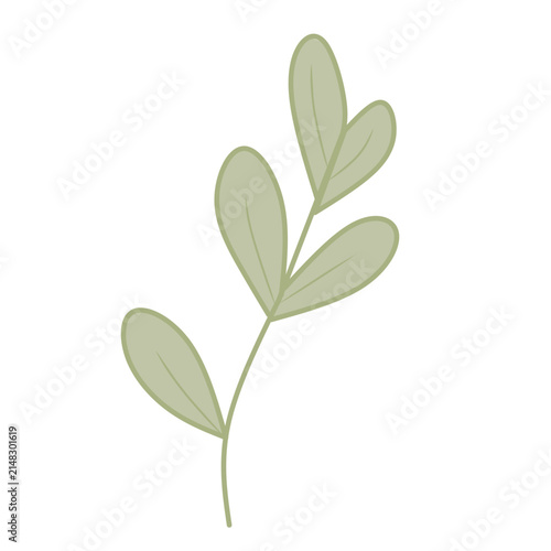green plant illustration 