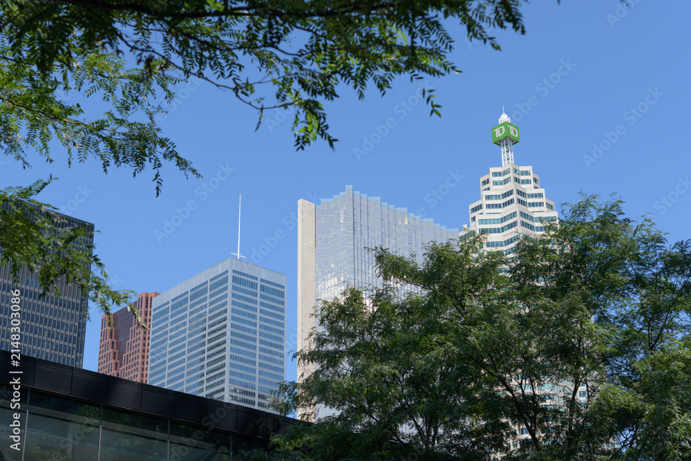 Fototapeta premium skyward view of rooflines in the financial district, Toronto (l to r) TD-Centre, Scotia Plaza, Commerce Court West, Royal Bank Plaza, TD Place/Brookfield Place)