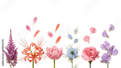 Colorful collection of flowers including a red spider lily and pink petals on png background