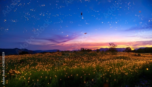 A Field Of Fireflies Glows At Dusk Under A Vibrant Sunset Sky