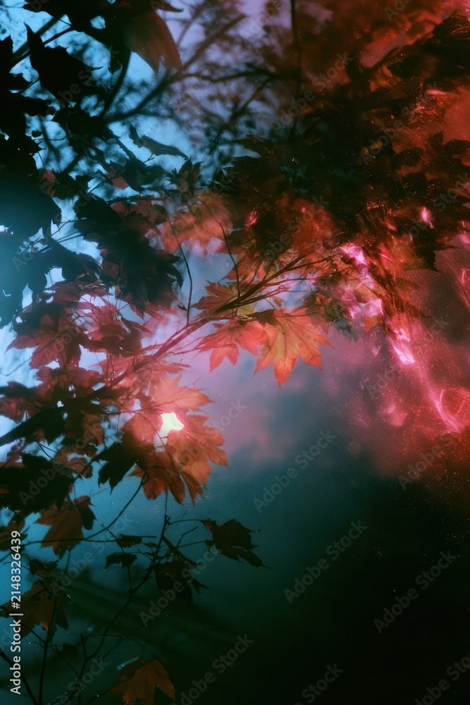 Fototapeta premium Abstract autumn leaves glowing in dreamy blue and pink light