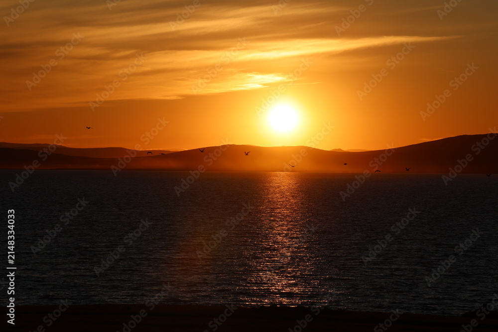 Obraz premium sunset over the sea with seagull 