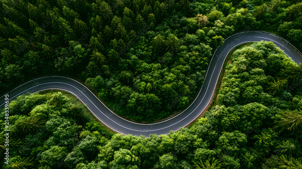 Obraz premium Scenic aerial forest routes highlighting climate resilience, sustainable transportation, the Renewable Energy Transition, environmental management, a green economy, and long-term responsible corporate