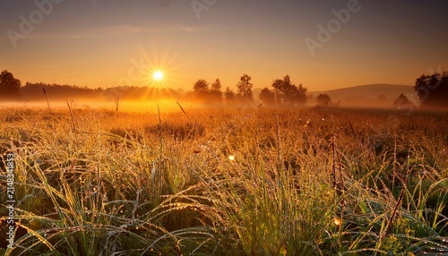 Golden Sunrise Over Dewy Grass Field
