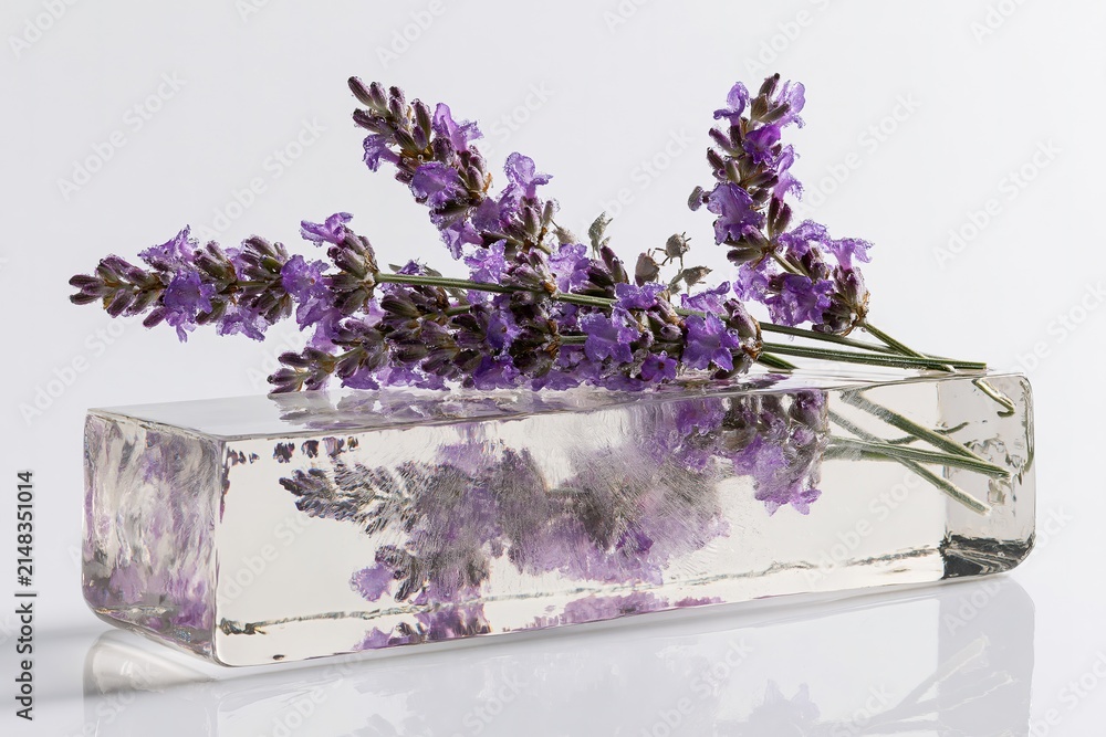 Obraz premium Clear Glass Vase with Lavender Flowers