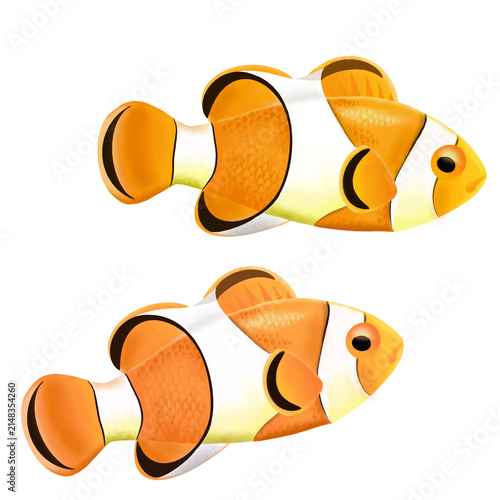 Canvastavla Pair of Orange Clownfish Illustrations Isolated on Transparent Background