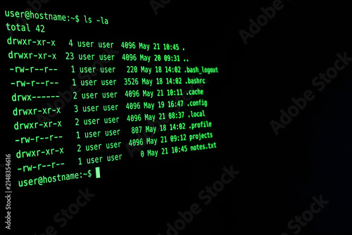 Obraz na płótnie Glowing Terminal Code on Dark Screen Macro