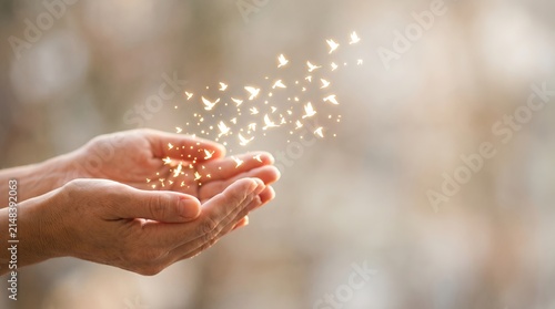 Human hands cupping glowing magical light particles forming small birds in bright soft aesthetic style