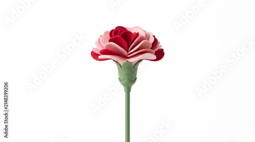 A single beautiful red and white carnation flower isolated on a clean white background for floral design