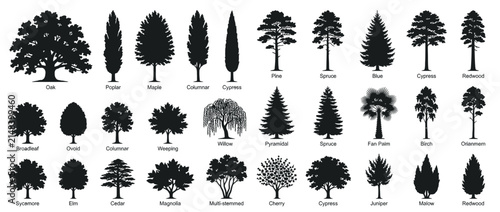 Fotografie Collection of Diverse Tree Silhouettes Isolated on Transparent Background