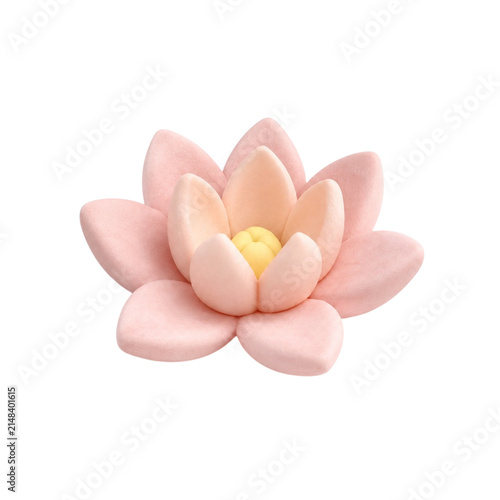 Lotus cute