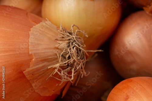 Foto Spoiled yellow onions with dried roots decaying due to improper storage conditions, conceptual image of food waste and agricultural loss