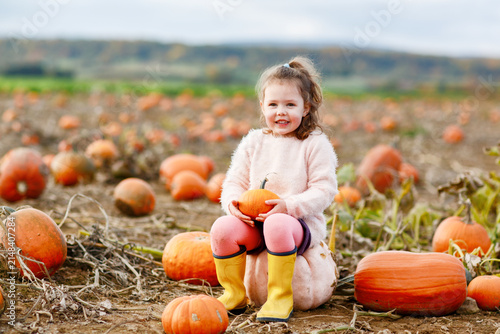 Fotografie Little preschool girl on pumpkin patch with lots of pumpkins in autumn field