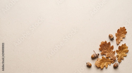 Minimal Autumn Oak Leaves and Acorns on Beige Copy Space, Thanksgiving Fall Background, Harvest Festival, October November Seasonal Greeting, Rustic Nature Banner and Elegant Botanical Design