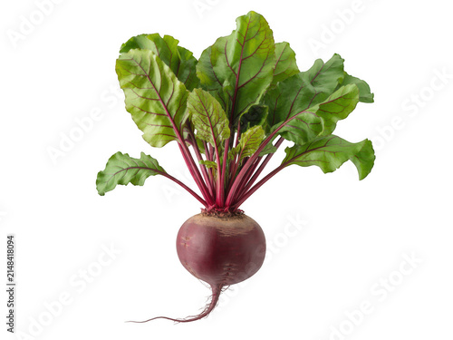 Canvas Print A single fresh vibrant beet with lush green leaves isolated on a black backgroun