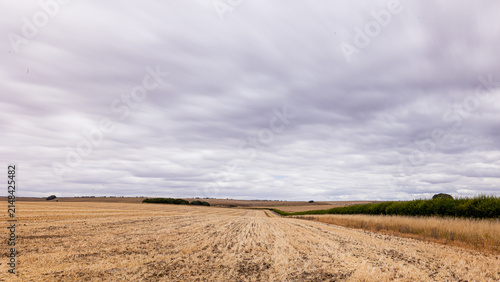 Canvastavla Wiltshire in drought