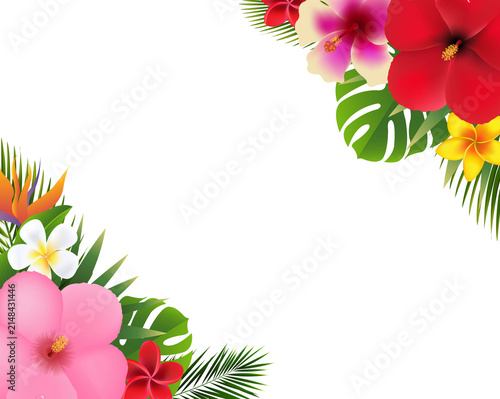 Summer Tropical Flowers And Palm Leaves Banner