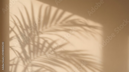 Sunlight and Palm Leaf Shadow on Wall: The dappled shadow of a palm leaf falls across a sunlit wall, creating a serene and tropical ambiance.