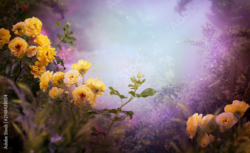 Fantasy garden with magical blooming rose flowers in fairy tale forest, fairytale glade wallpaper background, amazing magic tranquil misty landscape, scene in lilac colors and copy space.