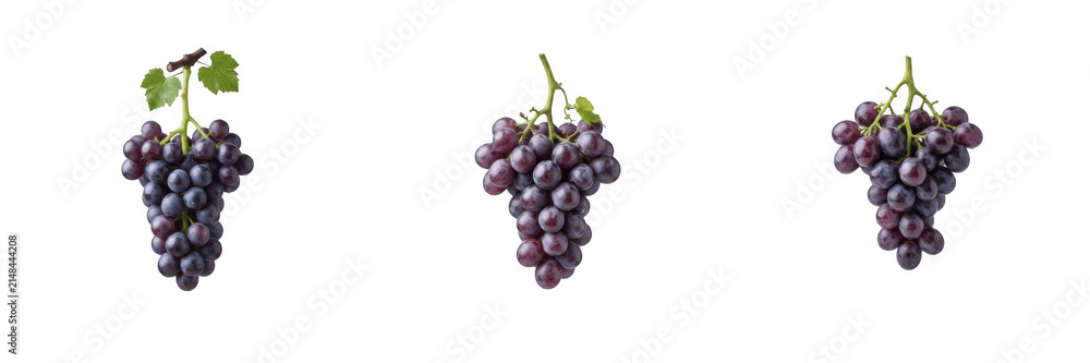Fototapeta premium Fresh Red Grape Bunches PNG Clipart Set, Sweet Dark Purple Grapes with Leaves Isolated on Transparent Background, Organic Fruit Harvest Vector Cutout PNG Elements for Wine Labeling, Packaging, Menu an