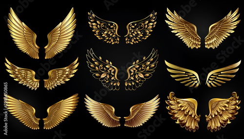 Golden metallic feather wings set on black background 豪華な黄金の鳥・天使の翼イラスト