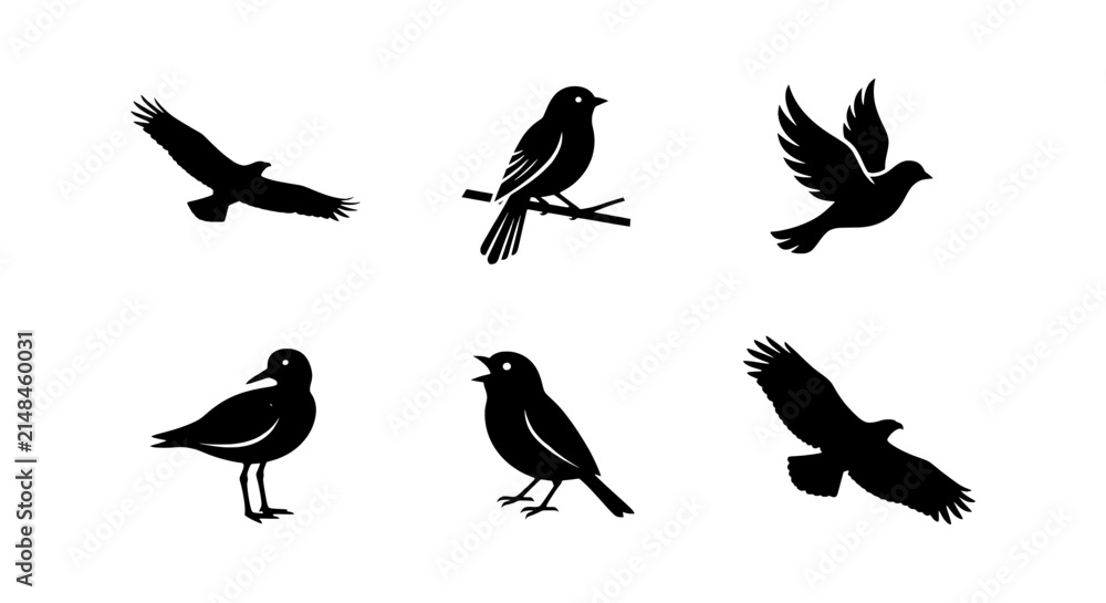 Fototapeta premium Diverse Bird Silhouettes Collection, Avian Vector Icons for Nature and Wildlife Designs, Flying and Perching Birds Set