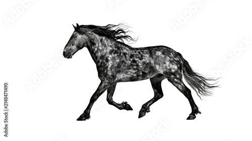 Fotografía Dappled grey horse galloping with flowing mane and tail, isolated on transparent