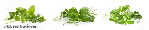 Panel kuchenny z motywem Various fresh herbs isolated on white, set