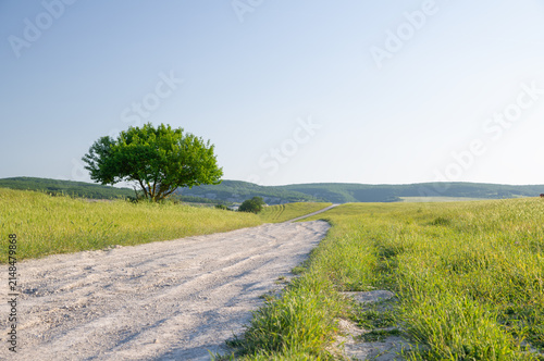 Road amongst green meadow