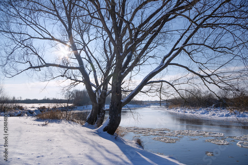 winter landscape on the river