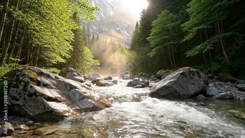 Serene sunlit forest stream flowing between mossy rocks and tall trees along a tranquil valley