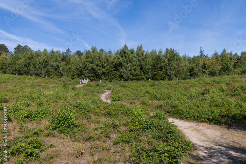 Hiking trail through the heathland of Mols Bjerge Nature Reserve, Denmark