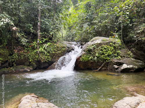 Small waterfall cascading over rocks into a clear pool in a lush green forest. Natural jungle landscape with flowing stream and mossy stones